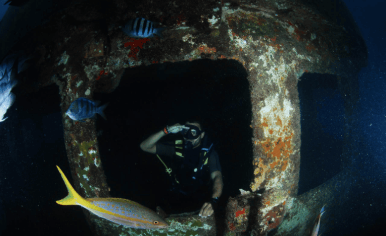 Buceo Bayahibe Desde Bayahibe