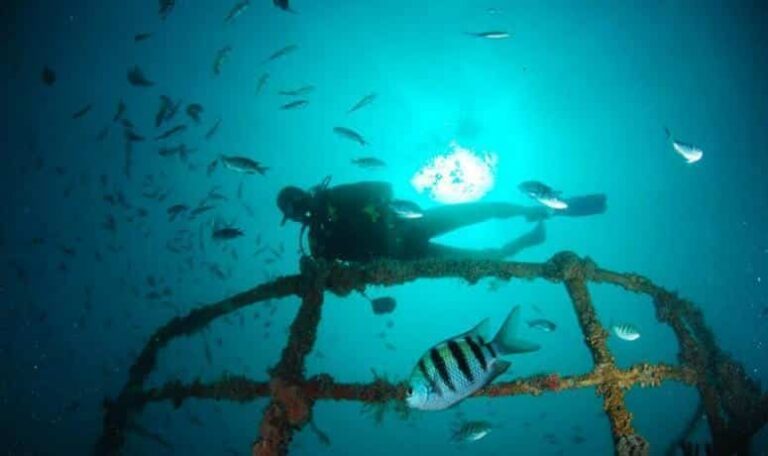 Buceo Isla Saona