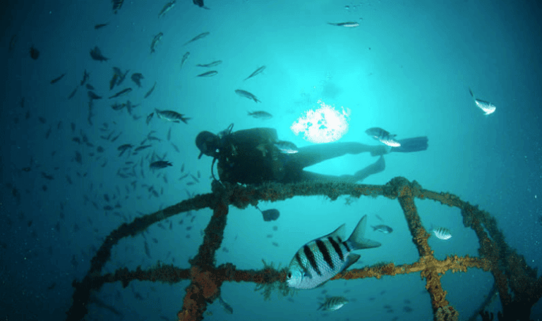 Buceo Bayahibe Desde Bayahibe