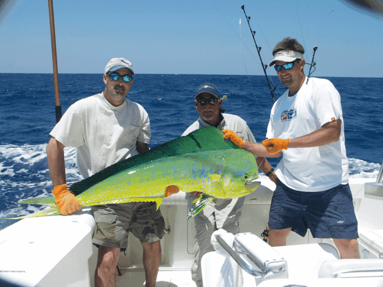 Pesca de Altura en Punta Cana