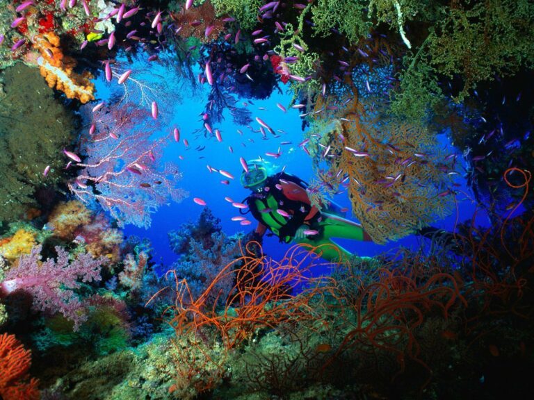 Curso de Buceo Advanced Open Water Punta Cana