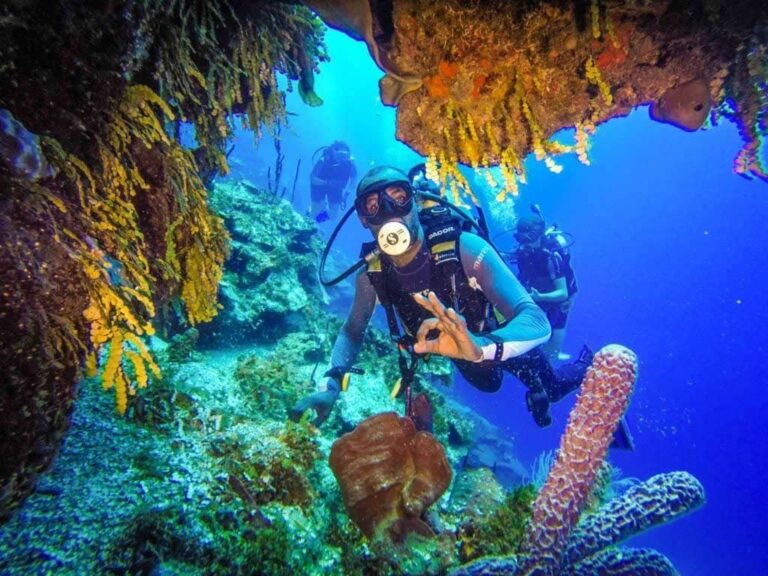 Buceo Isla Catalina