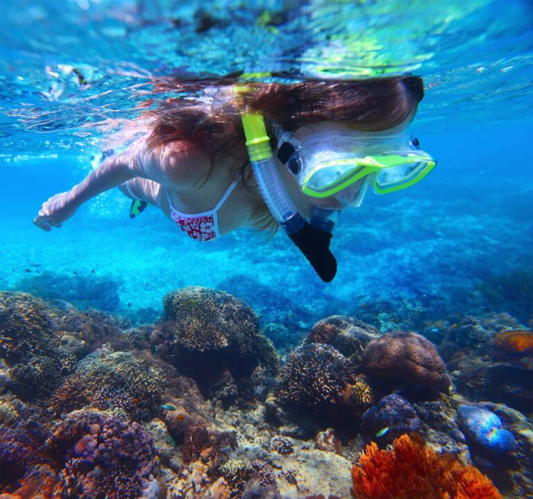 Snorkel Isla Catalina Desde Bayahibe