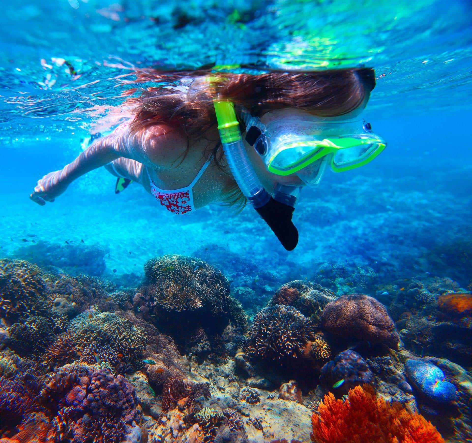 Snorkel en Isla Catalina: qué esperar y cómo disfrutarlo
