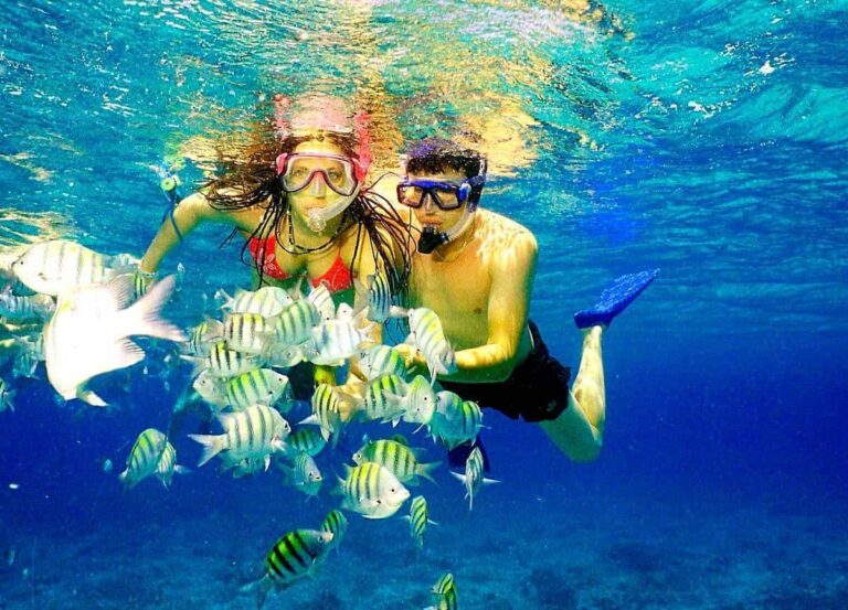 Snorkel Isla Catalina