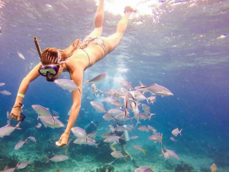Snorkel Isla Catalina